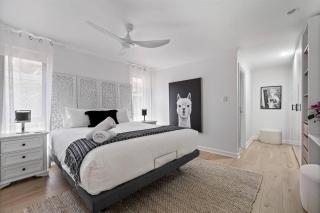 Peppermint Farm in the Heart of the South West - 8