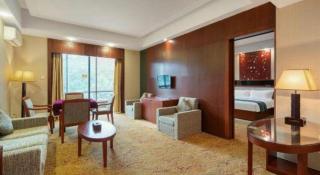 Longyan Capital International Hot Spring Resort - 9