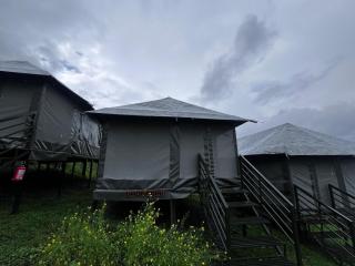 The Auli Meadows - 3