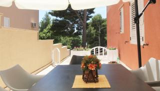 Apartment Danica - Makarska - 8