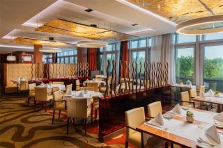 Hilton Frankfurt Airport - 1