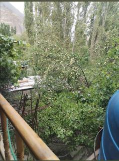 Apricot Cafe and Restaurant Shapa - 4