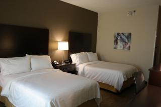 Holiday Inn Express Fredericksburg - Southpoint by IHG - 9
