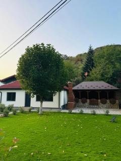 Green Luxury & Relax House - 1
