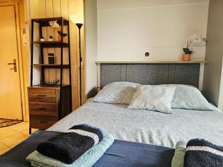 Studio Cosy avec Plage et Parking Privé au bord du Lac D'Annecy - 5