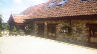 Bridge Farm Guesthouse rooms - Bristol - 8