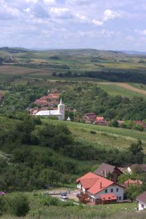 Pensiunea Casa din Vii - Şeuşa - 4