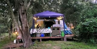 Gaia River Wooden deck campsite - 8