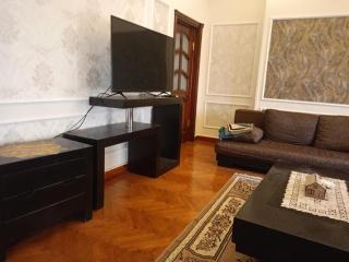 Luxury Duplex Fully Furnished - 3