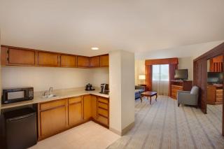 Holiday Inn Express Dallas Market Center by IHG - 8
