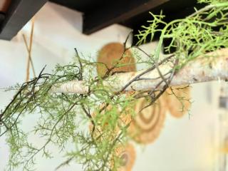 Shanghai Hills & Aromahome Sunshine BnB Close to line1&10&12 - 4