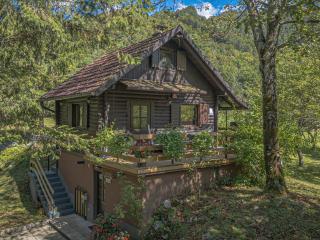 Vila Rozi, Osilnica - vacation house Pr' Vili Rozi - 0