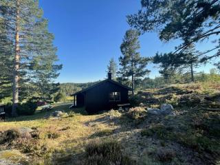 Soltoppen - cozy 3 bedroom cabin close to Norefjell - 1