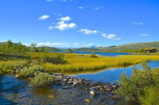 Hyggelig fiskebu ved Langrumpa fiskevann - 6