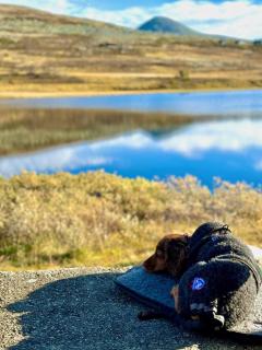 Hyggelig fiskebu ved Langrumpa fiskevann - 4