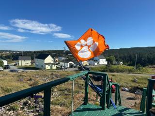 1BR Bird Island Overlook Near Trail In Elliston - 3