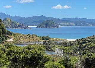 Medlands Beach Bach - 9