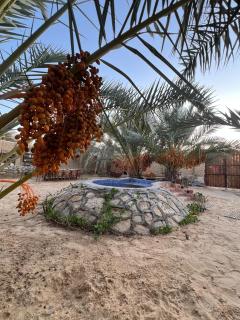 TATRABENT - Eco Friendly retreat in Siwa - 7
