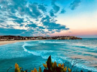 Chic 2BR Apartment with Artful Touches in Bondi - 8