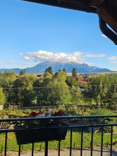 Vila de Sub Pădure - 2