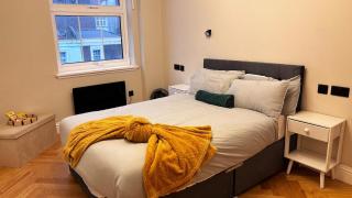 Luxe Apt in Central London Near Station, Shops etc & Free Wi-Fi - 9