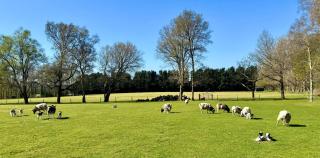 Countryside Manor House and Estate with Rural Views and Pool - 4