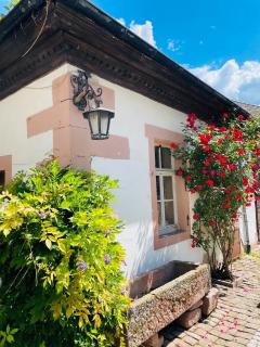Altes Kutschhaus - 8