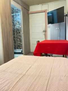 Hostal en Valdivia - 9