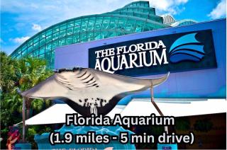 Heart of Hyde Park Tampa/Parking/Netflix/Gym - 1