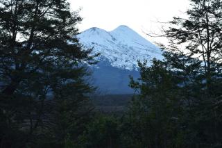 Vista Hermosa Conguillio - 3