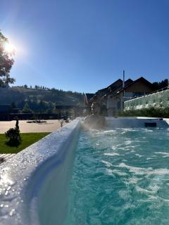 DOMENIUL NORDULUI BUCOVlNA - 6