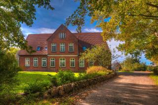 Seepferdchen - Stinteck - 5