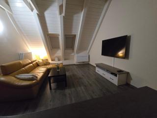 Apartmán v podkroví Malý Paríž - 8