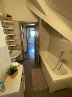 Apartmán v podkroví Malý Paríž - 2