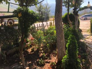 Bujtina Gashi Relax Nature - 9