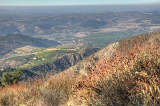 Glamping Bell Tent Escape on Palomar Mountain - 6