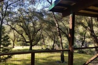 Glamping Bell Tent Escape on Palomar Mountain - 9