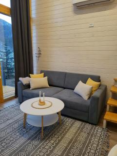 White Scandinavian Barn House - Artavaz - 1