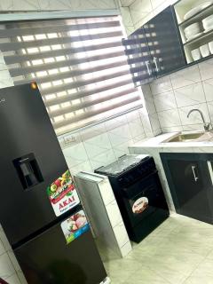The Willows Apartment - Cozy Two Bedroom all en-suite Apartment - 6