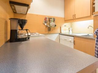 Duplex spacieux près des pistes - 6 pers, vues - FR-1-181-2490 - 9