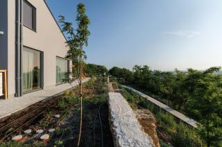 Two Doves House - 6