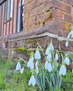 The Chapel, Dummer - 4