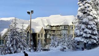 Woodrun Lodge 518 | Ski-in, Ski-Out, Hot Tub, Heated Pool, Parking - Whistler - 8