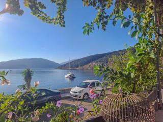 Ritsa House - 9