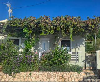 Ritsa House - 8