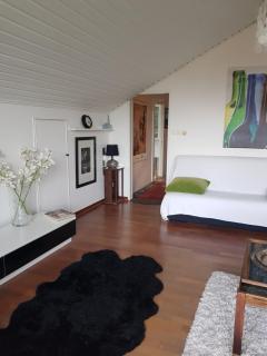 Studiolägenhet i villa - 9