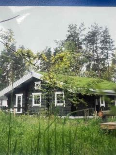 Charming Log Cabin Near Beach And Forest - 0