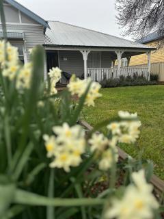 Wattle Cottage - 1
