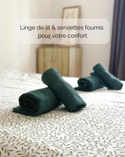 Breizh Meme - Appartement cosy et Escape Game - 5