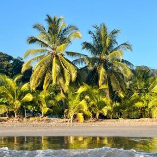 Puerto Carrillo Beauty, 2 Bdrm, Starlink Wifi - 1